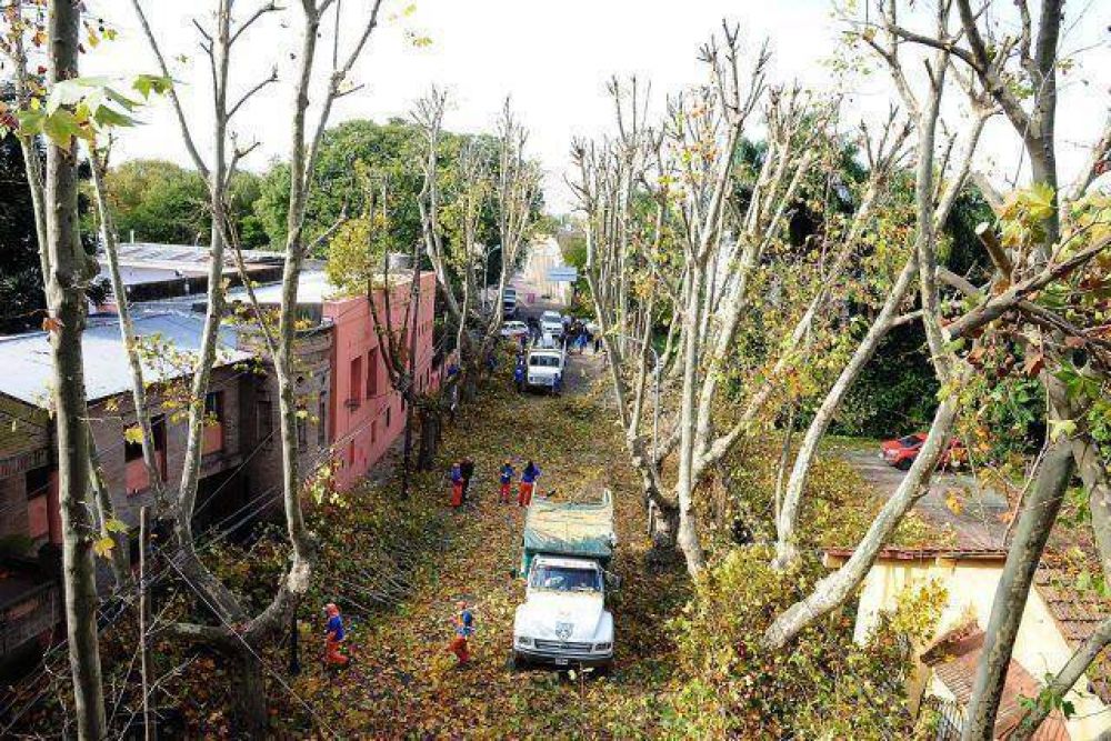 El Plan de Poda 2014 avanza por todo Tigre