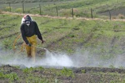 El estudio de los concejales sobre agroqu�micos, ingresa en tramo final: despu�s de las sesiones descentralizadas, ahora redactan modificaciones a la ordenanza vigente