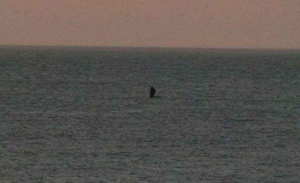 Y un d�a las ballenas pasaron por el Torre�n del Monje...