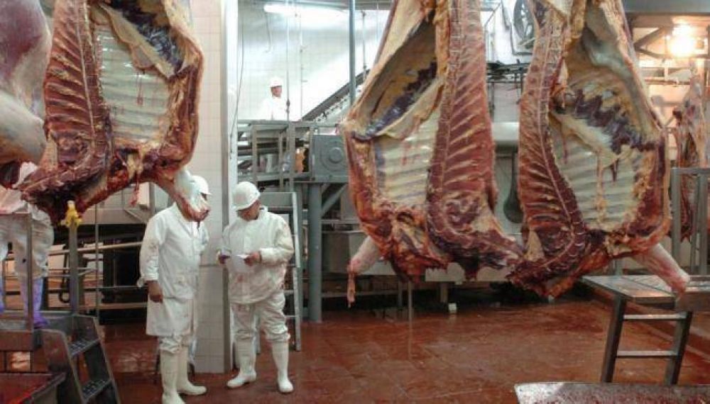 En 45 d�as, la industria frigor�fica local perdi� m�s de 500 empleos