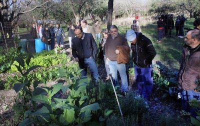 Huertas urbanas: comenz� un curso para personas con discapacidad
