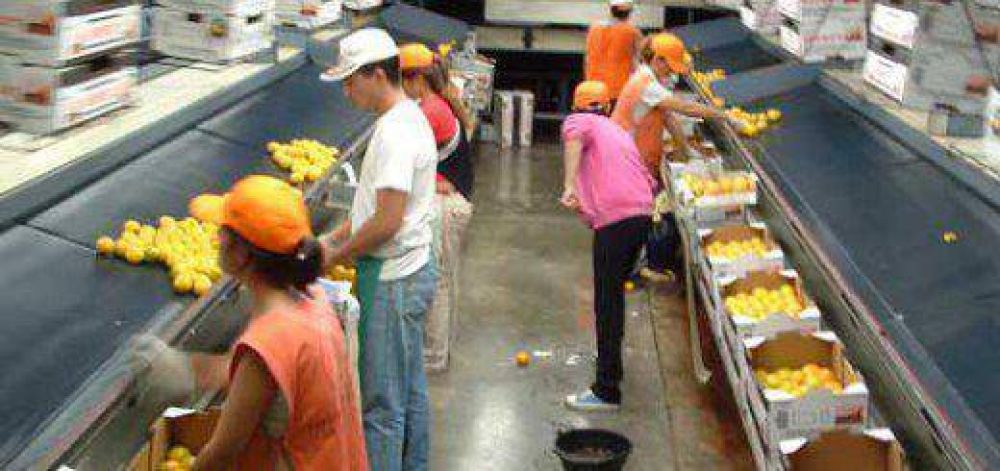 Fuerte crecimiento de la recaudaci�n provincial