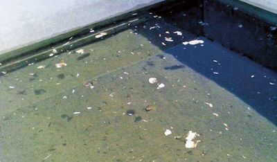 Ya se est� analizando la calidad del agua de Bella Vista