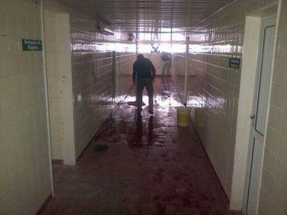 Acelera su actividad el frigor�fico Premium Beef