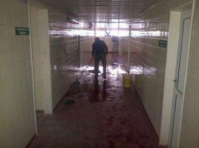 Acelera su actividad el frigor�fico Premium Beef