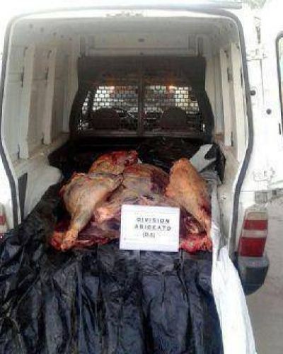Secuestran 260 kilos de carne en megaoperativo de control policial