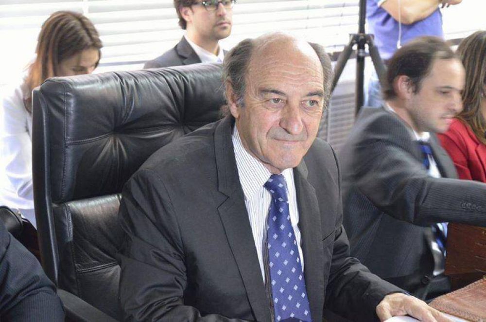 La emoci�n de los integrantes de la APDH de San Luis tras conocer la noticia del nieto de Estela Carloto