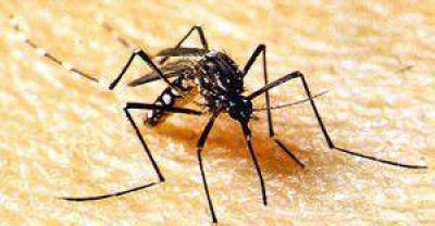 Comienza el plan municipal �Chau dengue�