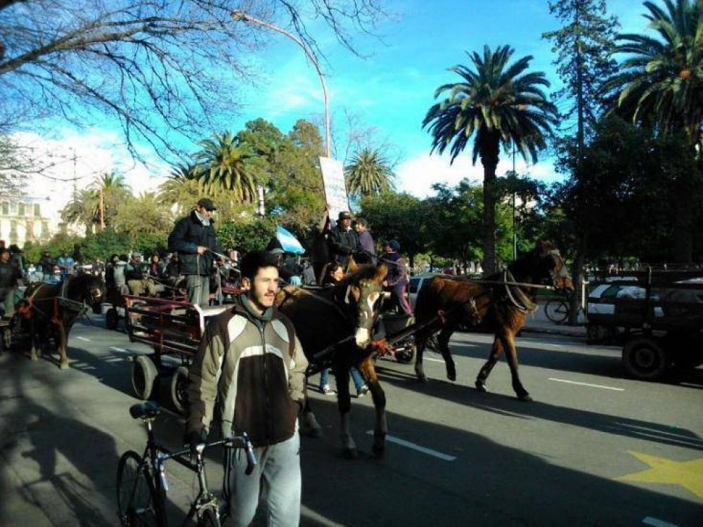 La Protectora sali� a apoyar la decisi�n municipal sobre los carros y caballos