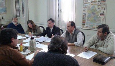 El Concejo estudia c�mo frenar la venta ilegal en ferias