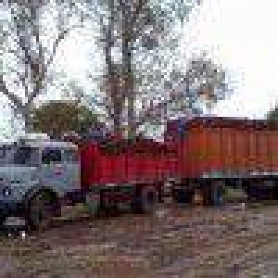 Secuestran 26 toneladas de producto forestal sin documentaci�n