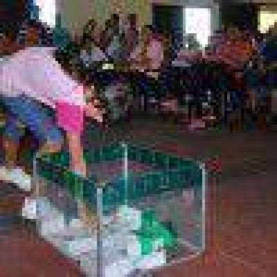Este viernes sortean 200 viviendas en S�enz Pe�a