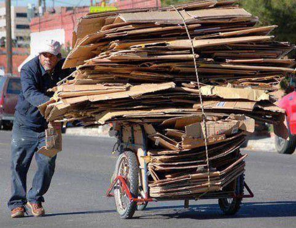 Reconversin de cartoneros: carretones por caballos 