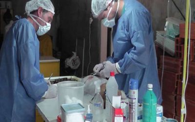 Nuevo equipamiento para castraciones de mascotas