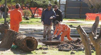 Parque Alberdi: el municipio consider� factible incorporar cambios al proyecto