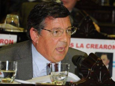 Con duras cr�ticas a Tunessi, renunci� el presidente del Comit� Radical