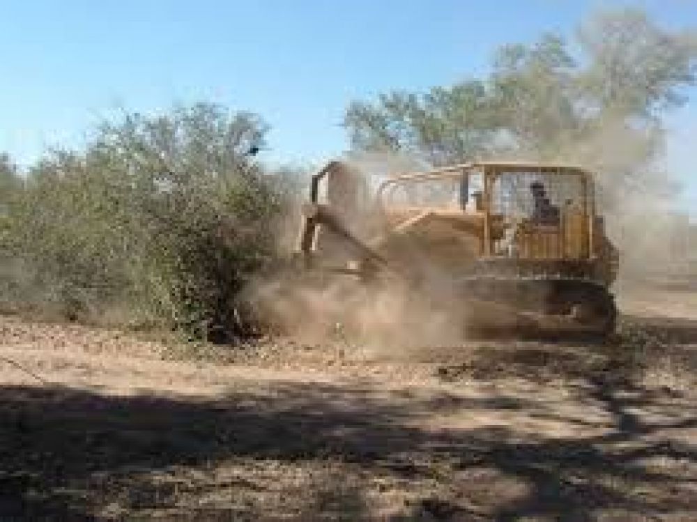 Wichis acampan para evitar el desmonte de m�s de 6 mil has.