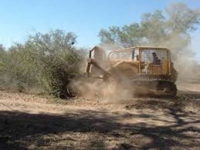 Wichis acampan para evitar el desmonte de m�s de 6 mil has.