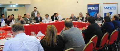 La Ciudad de Buenos Aires particip� de la Asamblea Extraordinaria de COFEMA en San Juan