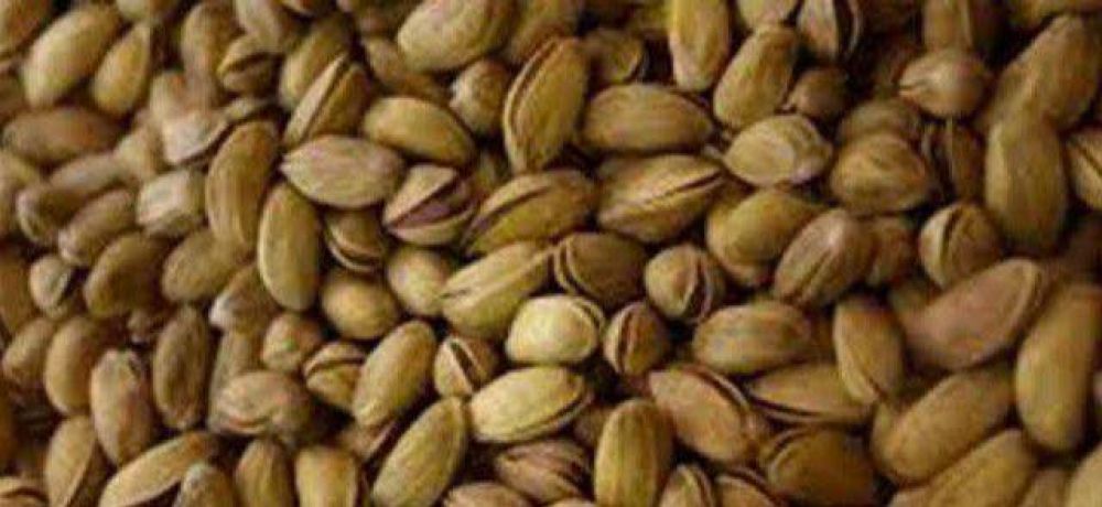 Pistachos: invierten en maquinaria para la pr�xima cosecha
