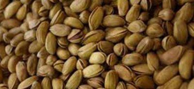 Pistachos: invierten en maquinaria para la pr�xima cosecha