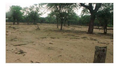 Buscan salidas para pueblos sin agua potable