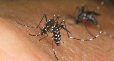 Corrientes prepara un reordenamiento para evitar la incuvaci�n del dengue