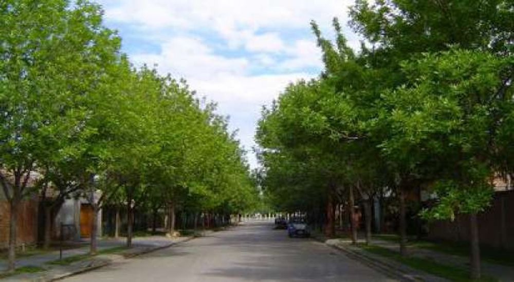 Los barrios que construye el IPDUV tendr�n arbolado