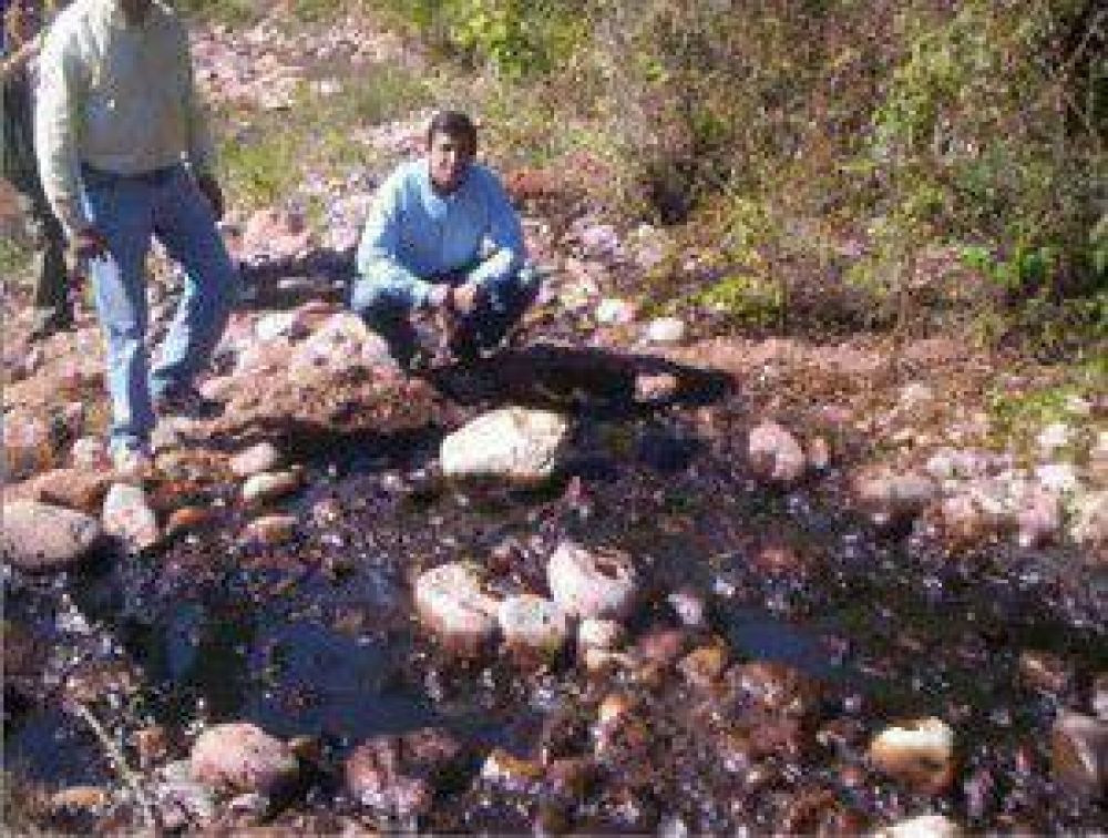 Jujuy: solicitan cese de actividades ante la grave situaci�n ambiental que atraviesa el Parque Nacional Calilegua por explotaci�n hidrocarbur�fera