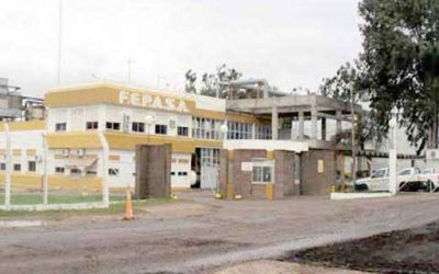 Fepasa contin�a con la actividad reducida