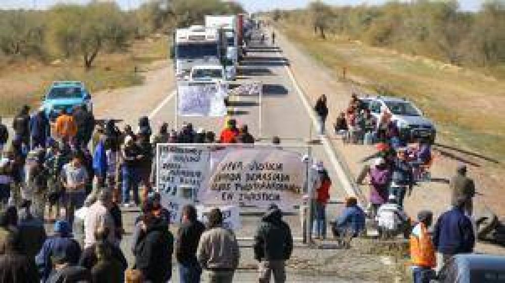 Ganado suelto: tensi�n en un corte de la ruta