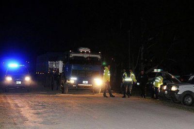 Detectan cami�n con casi 20 mil kilos de exceso de carga