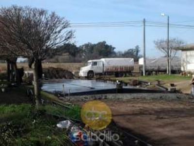 Pronto se terminara el cuadrante de pavimento