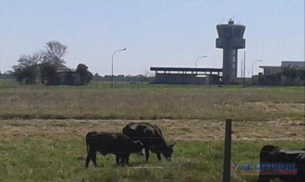 Aeropuerto, obrador y campo de pastaje