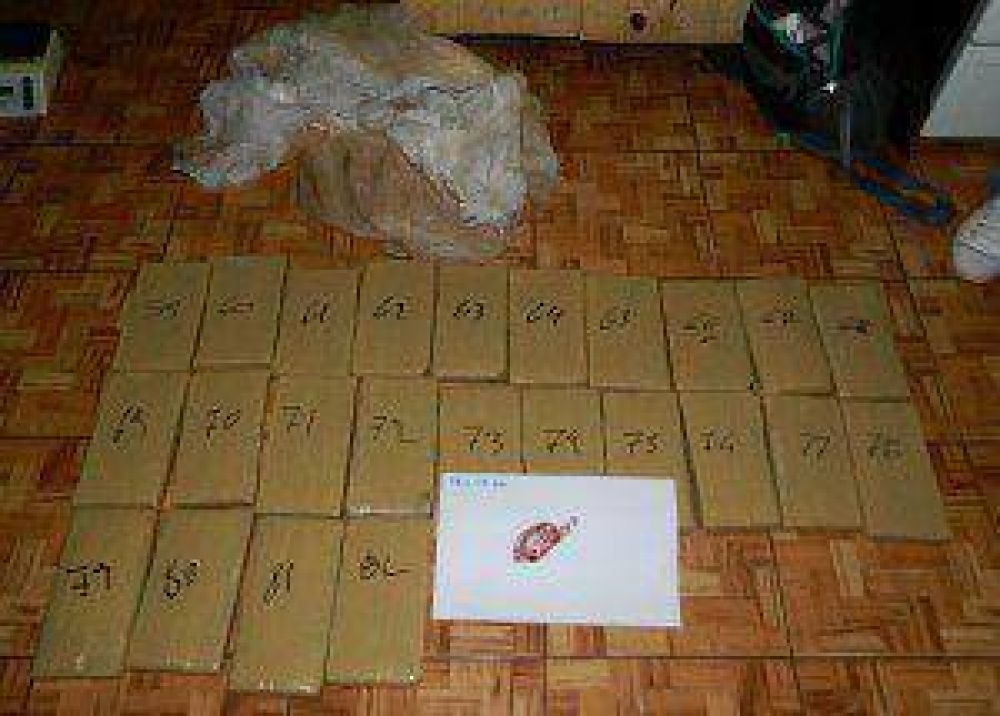 Narcos huyen a los tiros tras ser sorprendidos por la Polic�a