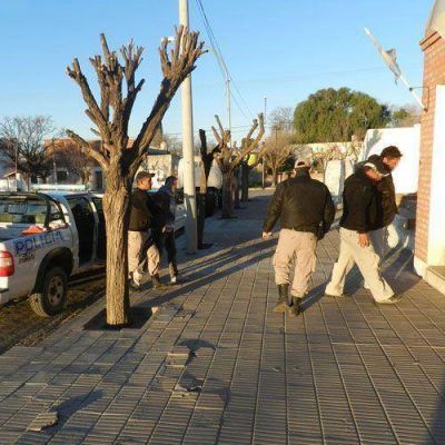 Desbaratan una banda que traficaba cocaina