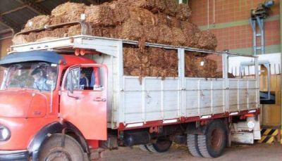 Abonar�n m�s de 5 millones del Fondo Especial del Tabaco