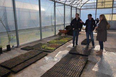 Ituzaing� tiene su Vivero Municipal