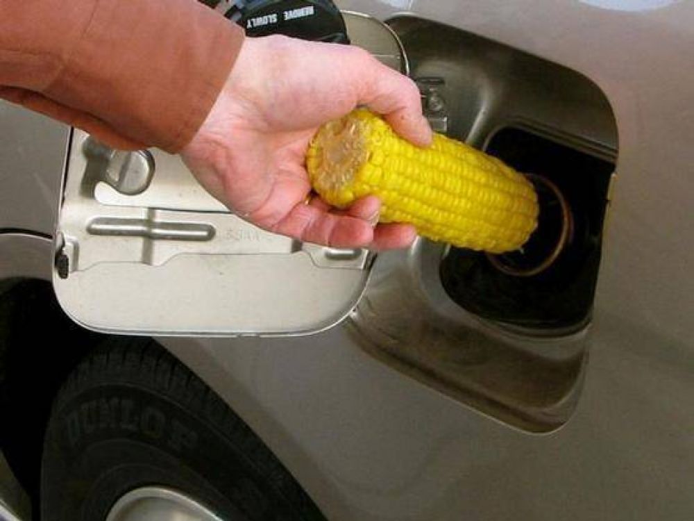 El ma�z desplaz� a la ca�a de az�car como la mayor fuente de etanol
