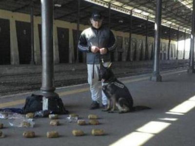 Hallan 8 kilos de coca�na en la mochila de un joven en Rosario Norte