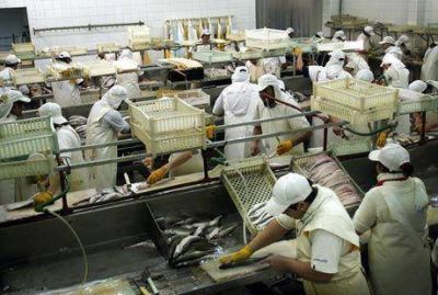 En el puerto �hay menos trabajo en tierra y m�s obreros en la calle�