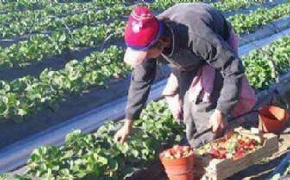 La Sociedad Rural de Tucum�n rechaza la Ley de Abastecimiento ﻿