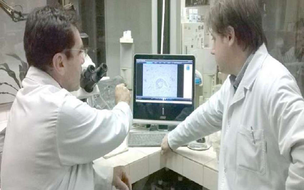 Funcionarios uruguayenses se capacitaron en Salud de la Naci�n