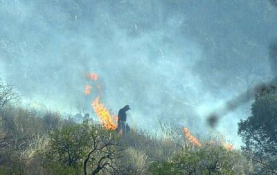 Controlaron incendio que pon�a en peligro a casas en Cosqu�n