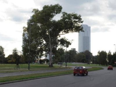 Reglamentar�n la ordenanza que habilita un pic�dromo legal en Rosario
