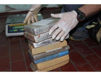 Incautaron unos 500 kilos de marihuana en una finca de Guaymall�n