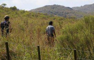 La Justicia le orden� a un heredero de la familia Cinque retirar los caballos del cerro Dos Huecos