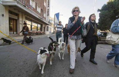 Se realiz� una marcha para pedir justicia por los perros envenenados