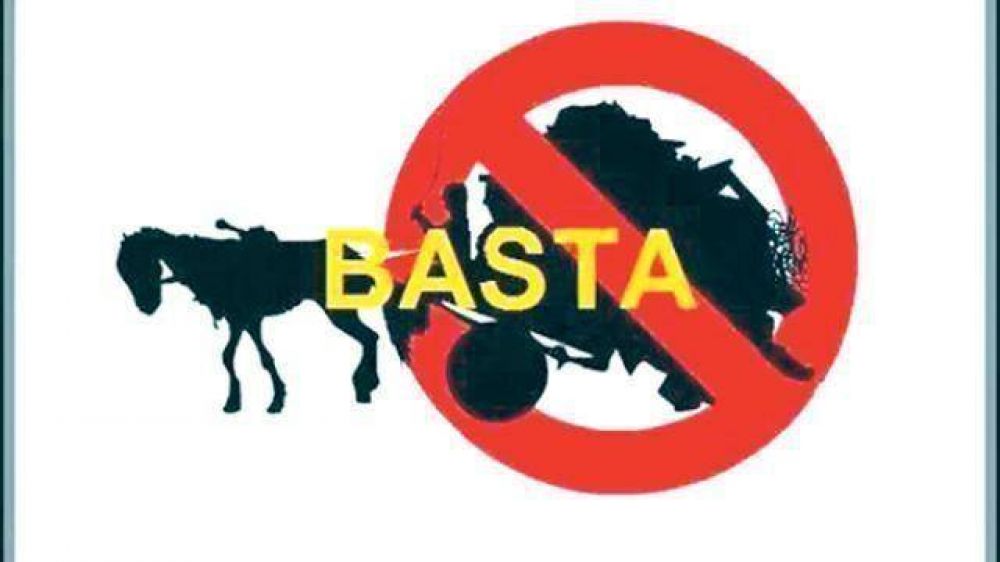 Re�nen firmas para exigir la prohibici�n de los carros a tracci�n a sangre en la ciudad