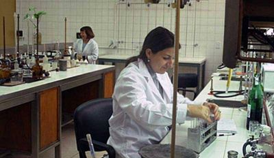 Multaron a 80 establecimientos vitivin�colas del sur